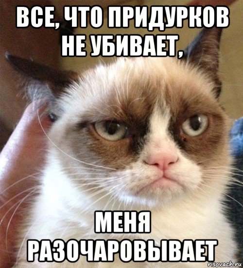 все, что придурков не убивает, меня разочаровывает, Мем Грустный (сварливый) кот