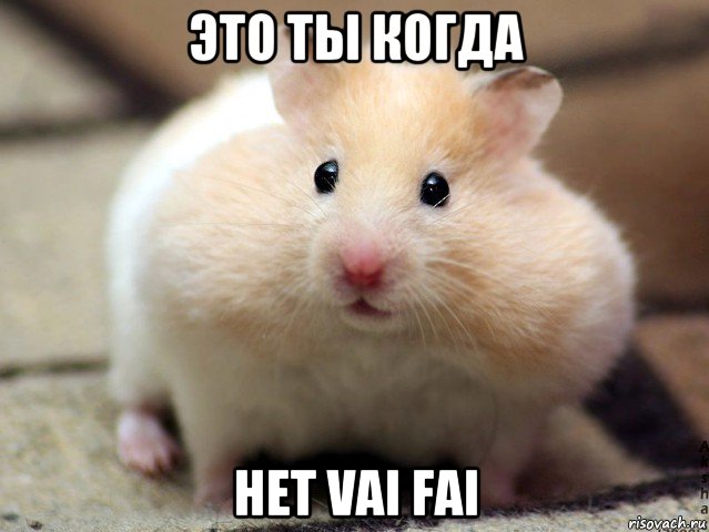 это ты когда нет vai fai