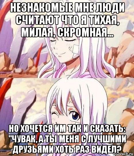 незнакомые мне люди считают что я тихая, милая, скромная... но хочется им так и сказать: "чувак, а ты меня с лучшими друзьями хоть раз видел?, Мем Хвост Феи