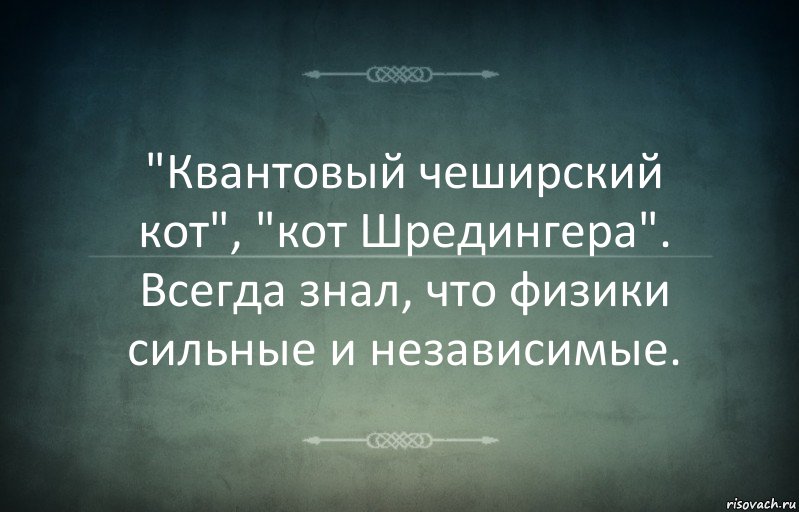 "Квантовый чеширский кот", "кот Шредингера".
Всегда знал, что физики сильные и независимые., Комикс Игра слов 3