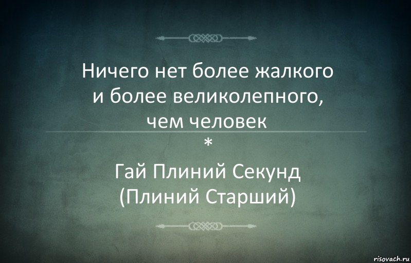 Ничего нет более жалкого
и более великолепного,
чем человек
*
Гай Плиний Секунд
(Плиний Старший), Комикс Игра слов 3