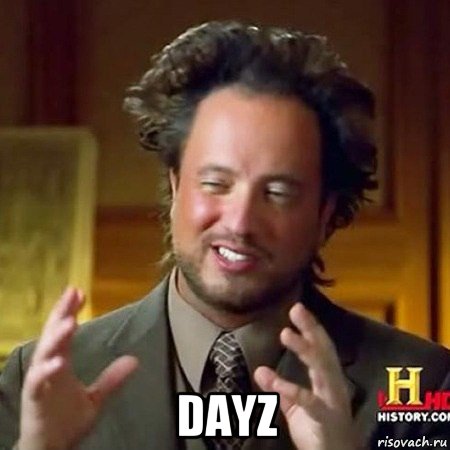  dayz