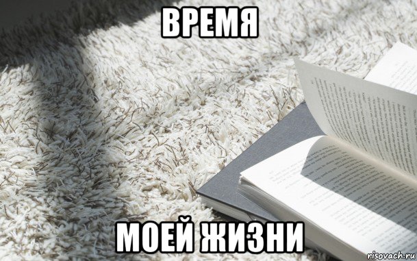 время моей жизни, Мем книга