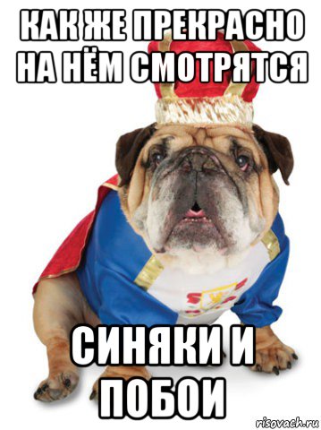 как же прекрасно на нём смотрятся синяки и побои