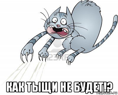  как тыщи не будет!?, Мем Кот для испуга