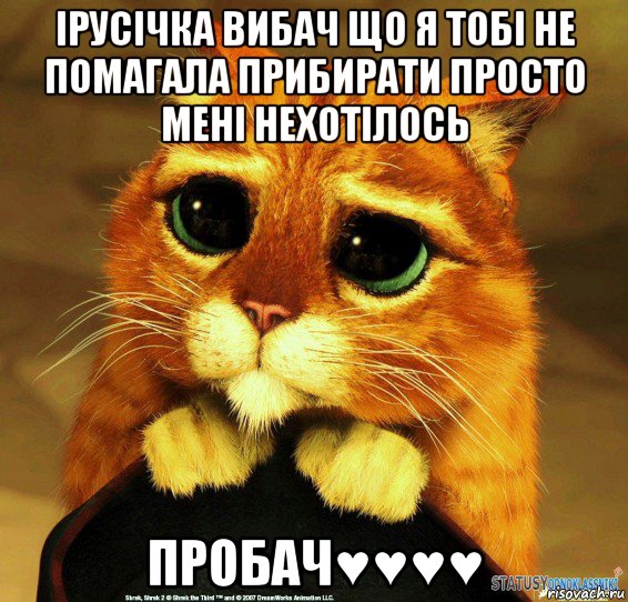 ірусічка вибач що я тобі не помагала прибирати просто мені нехотілось пробач♥♥♥♥, Мем Котик из Шрека