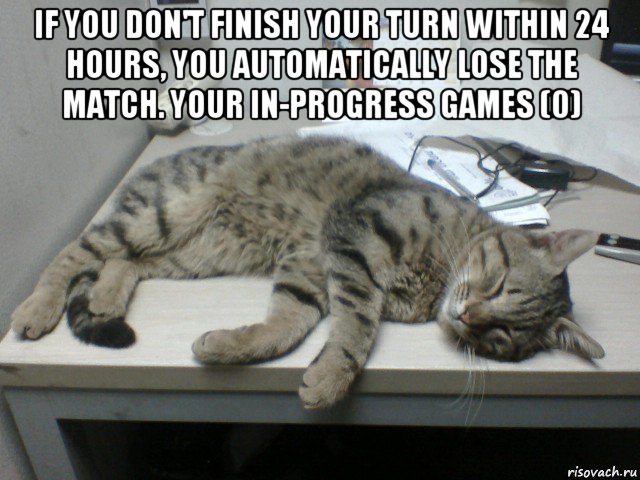 if you don't finish your turn within 24 hours, you automatically lose the match. your in-progress games (0) , Мем Кот-трудяга