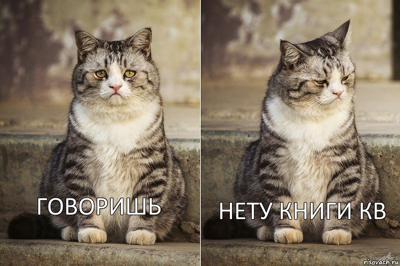 говоришь нету книги кв, Комикс котейка