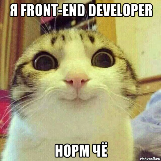 я front-end developer норм чё, Мем       Котяка-улыбака