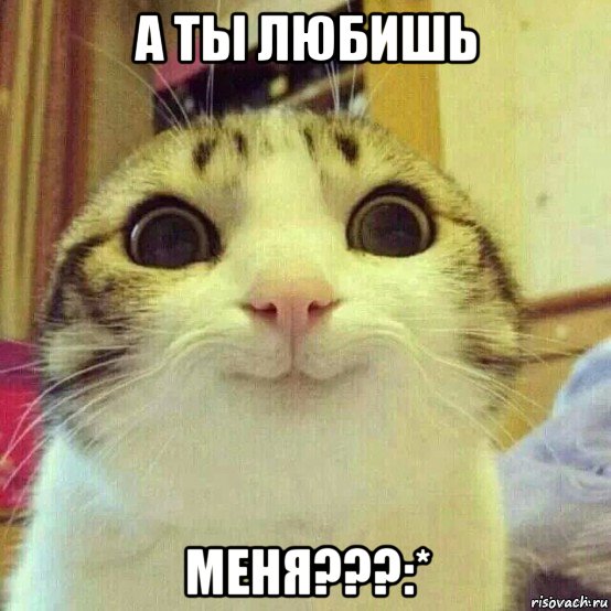 а ты любишь меня???:*, Мем       Котяка-улыбака