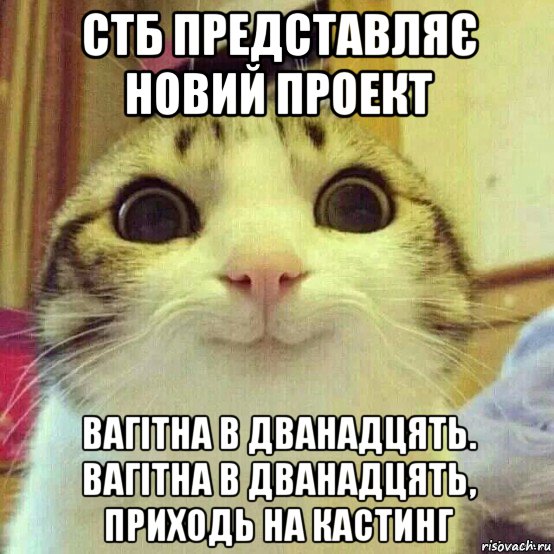 стб представляє новий проект вагітна в дванадцять. вагітна в дванадцять, приходь на кастинг, Мем       Котяка-улыбака