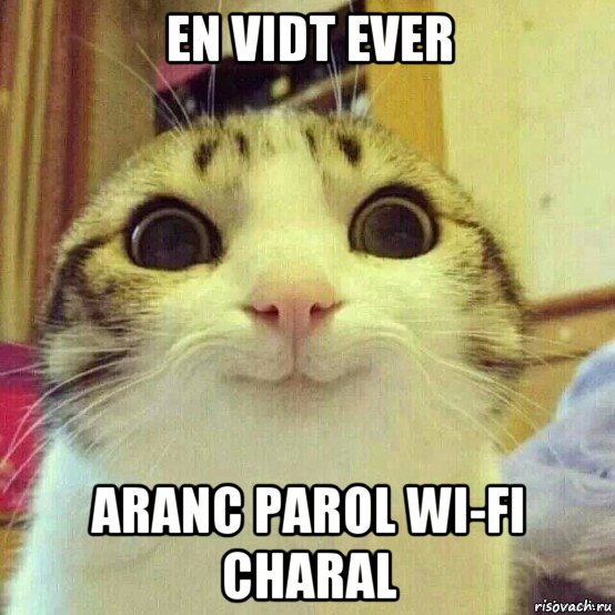 en vidt ever aranc parol wi-fi charal, Мем       Котяка-улыбака