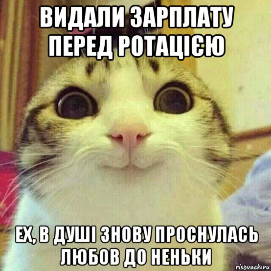 видали зарплату перед ротацією ех, в душі знову проснулась любов до неньки, Мем       Котяка-улыбака