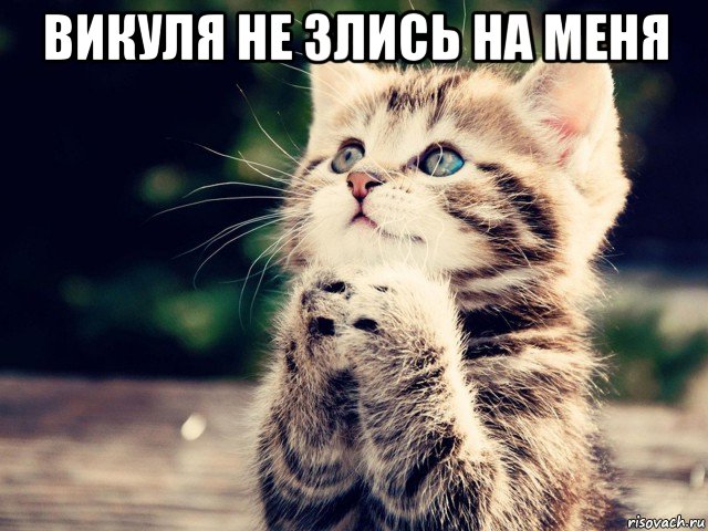 викуля не злись на меня 