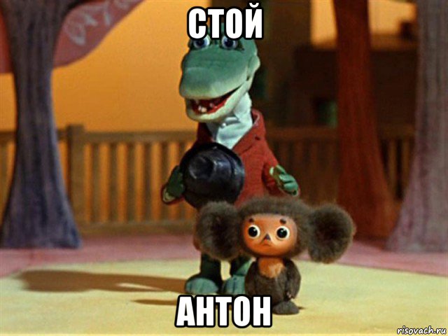 стой антон