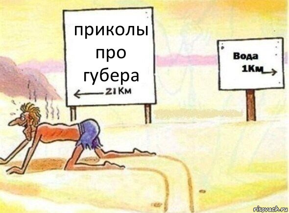 приколы про губера