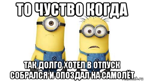 то чуство когда так долго хотел в отпуск собрался и опоздал на самолёт, Мем Миньоны