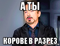 а ты корове в разрез