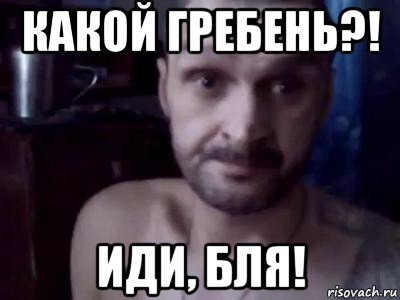 какой гребень?! иди, бля!, Мем Мопс не гребень