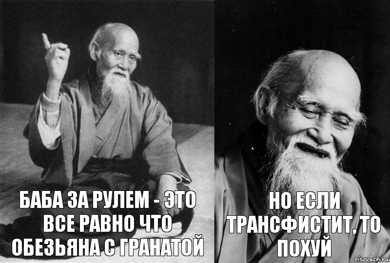 Баба за рулем - это все равно что обезьяна с гранатой Но если трансфистит, то похуй, Комикс Мудрец-монах (2 зоны)