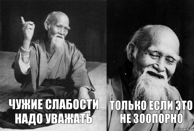 чужие слабости надо уважать только если это не зоопорно, Комикс Мудрец-монах (2 зоны)