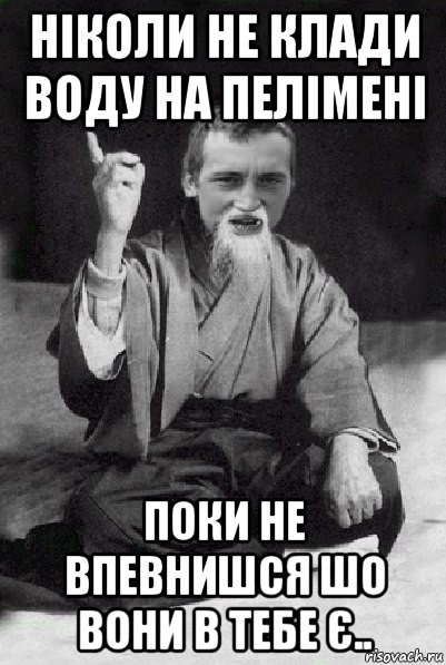 ніколи не клади воду на пелімені поки не впевнишся шо вони в тебе є.., Мем Мудрий паца