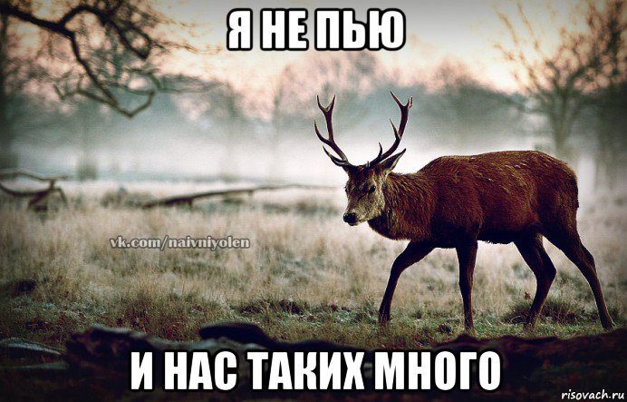 я не пью и нас таких много