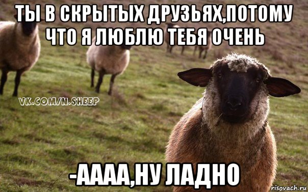 ты в скрытых друзьях,потому что я люблю тебя очень -аааа,ну ладно, Мем  Наивная Овца