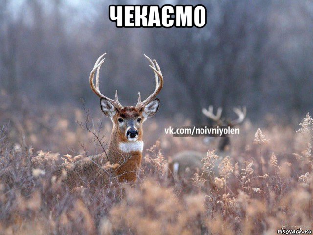 чекаємо 