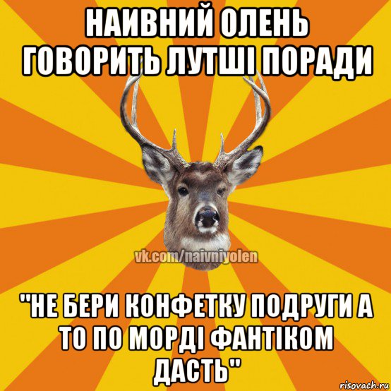 наивний олень говорить лутші поради "не бери конфетку подруги а то по морді фантіком дасть", Мем Наивный Олень вк