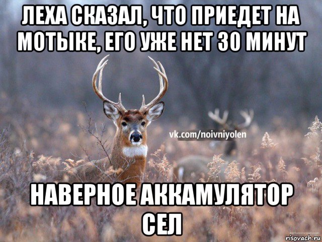 леха сказал, что приедет на мотыке, его уже нет 30 минут наверное аккамулятор сел, Мем Наивный Олень vk