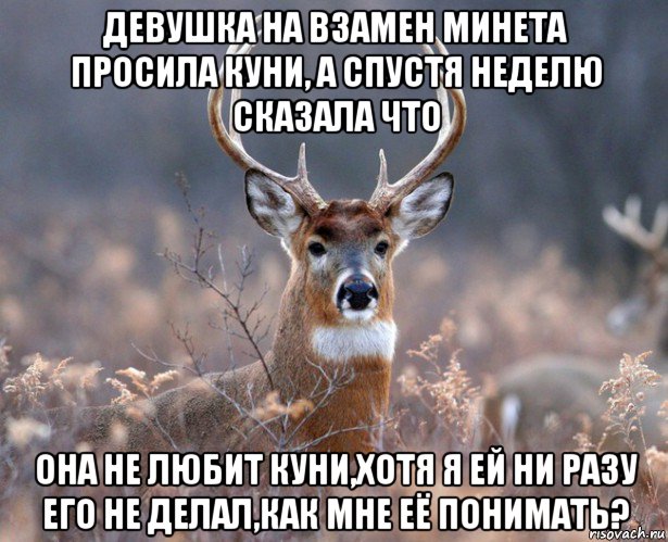 девушка на взамен минета просила куни, а спустя неделю сказала что она не любит куни,хотя я ей ни разу его не делал,как мне её понимать?, Мем   Наивный олень