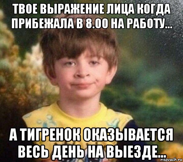 твое выражение лица когда прибежала в 8.00 на работу... а тигренок оказывается весь день на выезде..., Мем Недовольный пацан