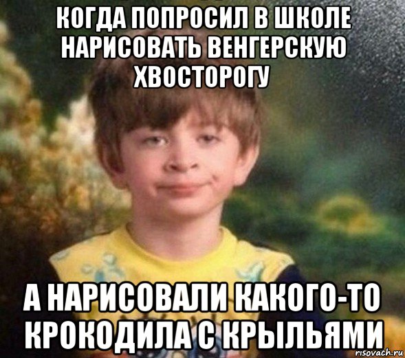 когда попросил в школе нарисовать венгерскую хвосторогу а нарисовали какого-то крокодила с крыльями, Мем Недовольный пацан