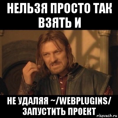 нельзя просто так взять и не удаляя ~/webplugins/ запустить проект, Мем Нельзя просто взять