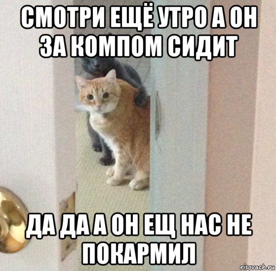 смотри ещё утро а он за компом сидит да да а он ещ нас не покармил, Мем Никита Петров нахуярил этот мем