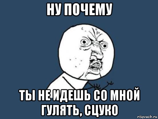 ну почему ты не идешь со мной гулять, сцуко, Мем Ну почему