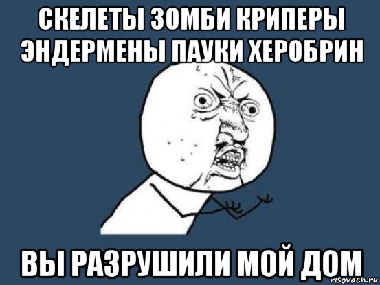 скелеты зомби криперы эндермены пауки херобрин вы разрушили мой дом, Мем Ну почему