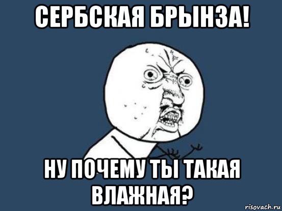 сербская брынза! ну почему ты такая влажная?, Мем Ну почему