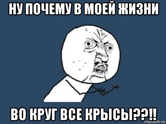 ну почему в моей жизни во круг все крысы??!!, Мем Ну почему