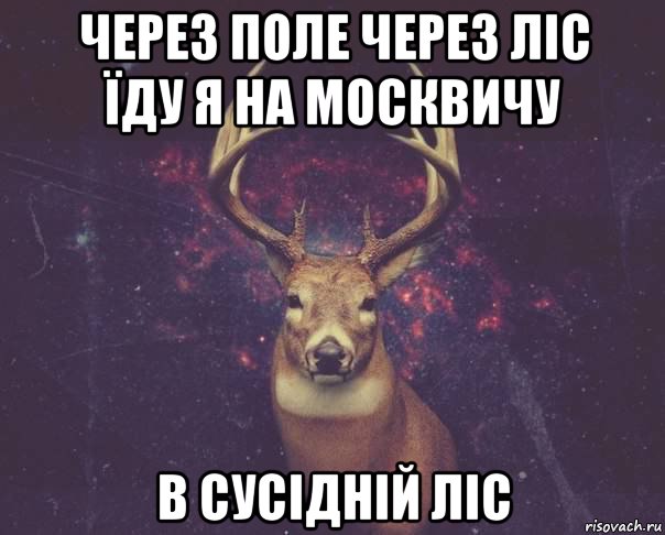 через поле через ліс їду я на москвичу в сусідній ліс, Мем  олень наивный