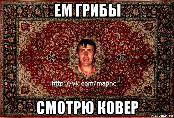 ем грибы смотрю ковер