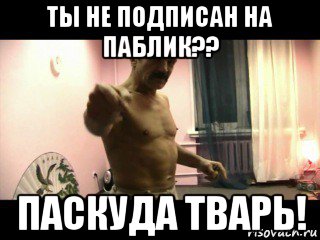 ты не подписан на паблик?? паскуда тварь!, Мем Паскуда тварь