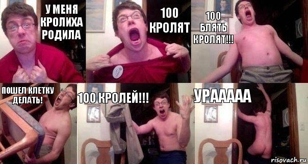 у меня кролиха родила 100 кролят 100 блять кролят!!! пошел клетку делать! 100 кролей!!! УРААААА, Комикс  Печалька 90лвл