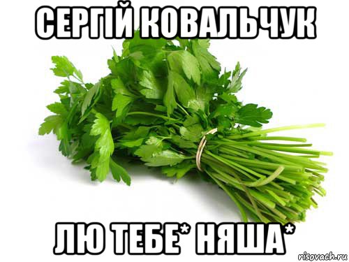 сергій ковальчук лю тебе* няша*