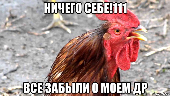 ничего себе!111 все забыли о моем др