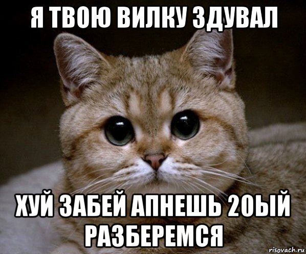 я твою вилку здувал хуй забей апнешь 20ый разберемся, Мем Пидрила Ебаная