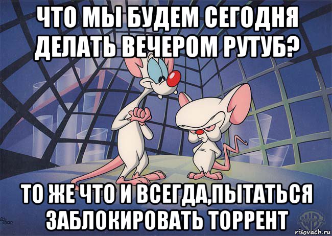 что мы будем сегодня делать вечером рутуб? то же что и всегда,пытаться заблокировать торрент