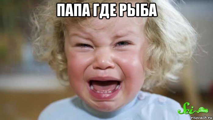 папа где рыба 
