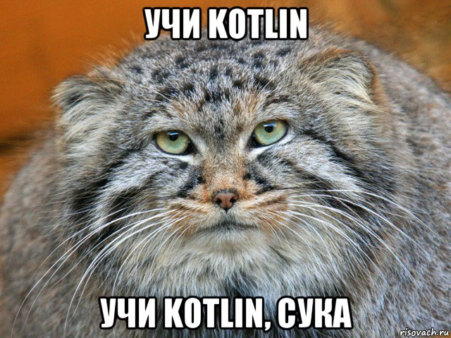 учи kotlin учи kotlin, сука